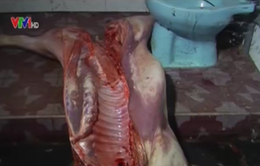 Đồng Nai: Phát hiện hai lò mổ chuyên thu gom lợn chết