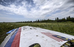 Ukraine biện hộ việc không đóng không phận trong vụ MH17