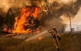 Cháy rừng dữ dội tại bang California, hàng trăm người phải sơ tán