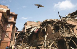 Nepal kêu gọi các nhà tài trợ để tái thiết đất nước sau động đất
