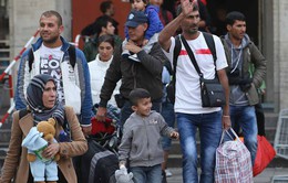 Đức xem xét lập quỹ 5,6 tỷ USD dành cho người di cư