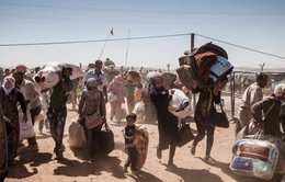 Liên đoàn Arab kêu gọi chấm dứt cuộc khủng hoảng Syria