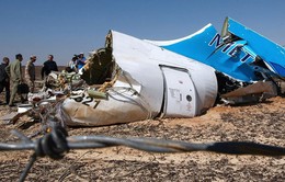 Chính phủ Đức: Máy bay Nga bị phiến quân Hồi giáo IS đánh bom