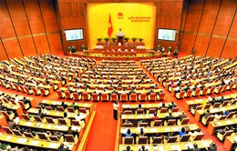 Quốc hội thảo luận dự thảo Bộ luật hình sự (sửa đổi)