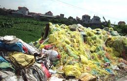 Hãi hùng rác thải "bủa vây" làng nghề tái chế nhựa Minh Khai