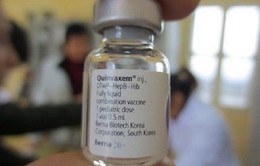 WHO khuyến cáo vẫn sử dụng vaccine Quinvaxem