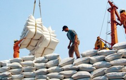 Việt Nam xuất khẩu hơn 2 triệu tấn gạo