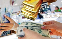 Hà Nội: Bắt sàn vàng ảo HGI chiếm đoạt 270 tỉ đồng