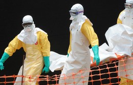 Liên Hợp Quốc: Dịch bệnh Ebola đã trong tầm kiểm soát