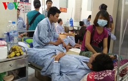 Thêm 1 người tử vong do sốt xuất huyết tại tỉnh Khánh Hoà