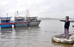 Phú Yên: 600 tàu thuyền mắc kẹt do cửa biển bồi lấp