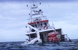 Tìm thấy thi thể thứ 2 vụ chìm tàu cá tại Bình Thuận