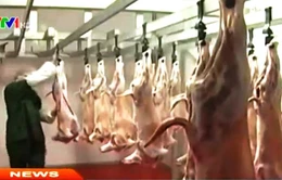 Thịt heo, bò, gà nhập khẩu từ EU vào Việt Nam sẽ tăng mạnh