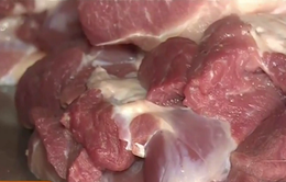 TP.HCM: Phát hiện thịt lợn chứa chất cấm bán tại chợ