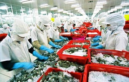 EU trả 27 lô hàng thủy sản về Việt Nam