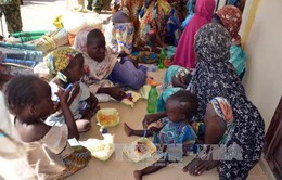 Nigeria giải cứu gần 180 con tin bị Boko Haram giam giữ