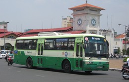 TP.HCM đấu thầu khai thác các tuyến xe bus
