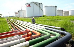 Tập đoàn PetroVietnam tiếp nhận 3 công ty dầu khí của Chevron