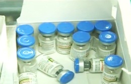 Thực nghiệm lâm sàng vaccine cúm A/H5N1 sản xuất tại Việt Nam