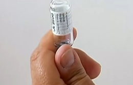 Vaccine chống sốt xuất huyết lần đầu được thử nghiệm tại Mexico