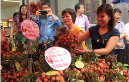 Vải thiều Việt Nam đến với thị trường ASEAN