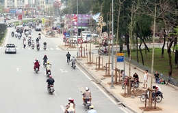 Vụ chặt cây xanh tại Hà Nội: Kỷ luật 11 cán bộ