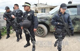 Mexico: Bắt giữ 7 quan chức nghi dính líu vụ trùm ma túy vượt ngục