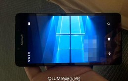 Lumia 950 và Lumia 950 XL rò rỉ ảnh thực tế trước giờ G