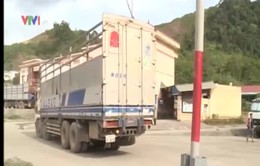 Nghệ An: Khó xử lý xe quá tải