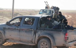 Mỹ truy tìm nguồn gốc loạt xe hơi của IS