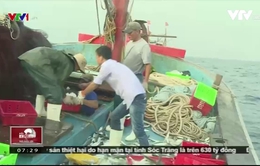 Gian nan hành trình tìm cá tươi của ngư dân Quảng Bình