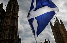 Scotland cân nhắc tổ chức trưng cầu dân ý tách khỏi Anh lần 2