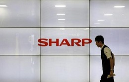 Chính phủ Nhật do dự, Sharp có thể về tay Foxconn
