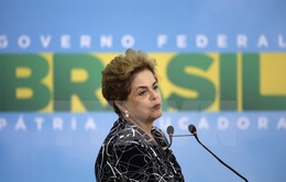 Thượng viện Brazil xem xét đình chỉ Tổng thống Dilma Rousseff