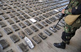 Colombia tịch thu hơn 1 tấn ma túy