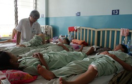 Gia tăng số người lớn mắc bệnh sốt xuất huyết