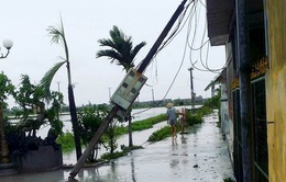 Thái Bình thiệt hại, huyện đảo Cát Hải bị cô lập sau bão số 1