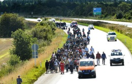 Nhiều phản ứng trái chiều về luật hạn chế người nhập cư của Đan Mạch