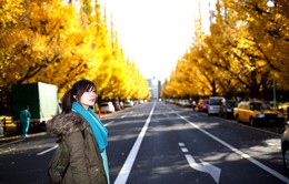 Cảnh sắc mùa thu với lá vàng, lá đỏ đẹp như tranh vẽ ở Tokyo