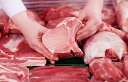 Bộ Công Thương cảnh báo việc xuất khẩu lợn sống sang Trung Quốc