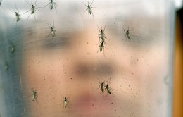 Trung Quốc phát hiện ca nhiễm virus Zika thứ 2