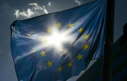 EU tuyên bố chính sách ưu đãi thuế của Bỉ là bất hợp pháp
