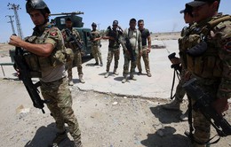 Iraq chuẩn bị tổng tấn công để chiếm lại Fallujah từ IS