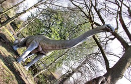 Khung cảnh hoang tàn trong công viên khủng long bị bỏ hoang ở Anh