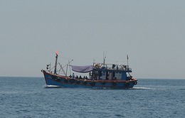 Quảng Bình yêu cầu kiểm tra việc tàu cá xả chất thải rắn