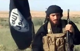Mỹ xác nhận thủ lĩnh cấp cao của IS bị tiêu diệt