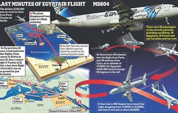 Máy bay Ai Cập mất tích - Sự kiện quốc tế được quan tâm nhất tuần (16/5 - 22/5)