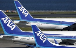 Vietnam Airlines bán 8,8% cổ phần cho Nhật Bản