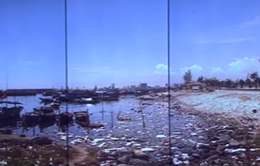 Ô nhiễm nghiêm trọng tại Âu thuyền Thọ Quang, Đà Nẵng