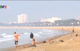 Thông tin bãi biển Quy Nhơn ngập rác thải là không chính xác